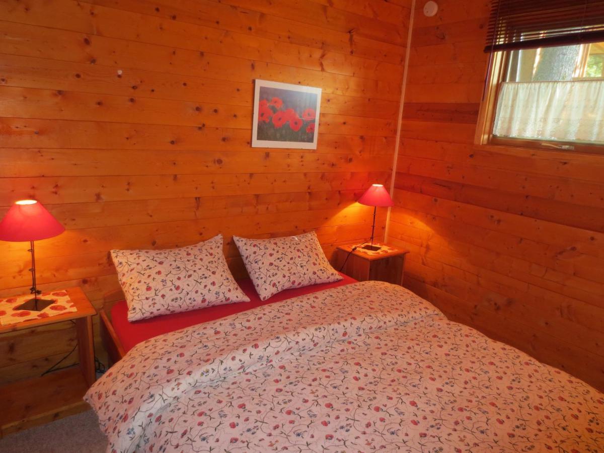 Blaeberry Mountain Lodge Golden Oda fotoğraf